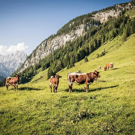 Апартаменты Feuerabend Берхтесгаден